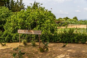 المنطقة المحيطة بالمنشأة