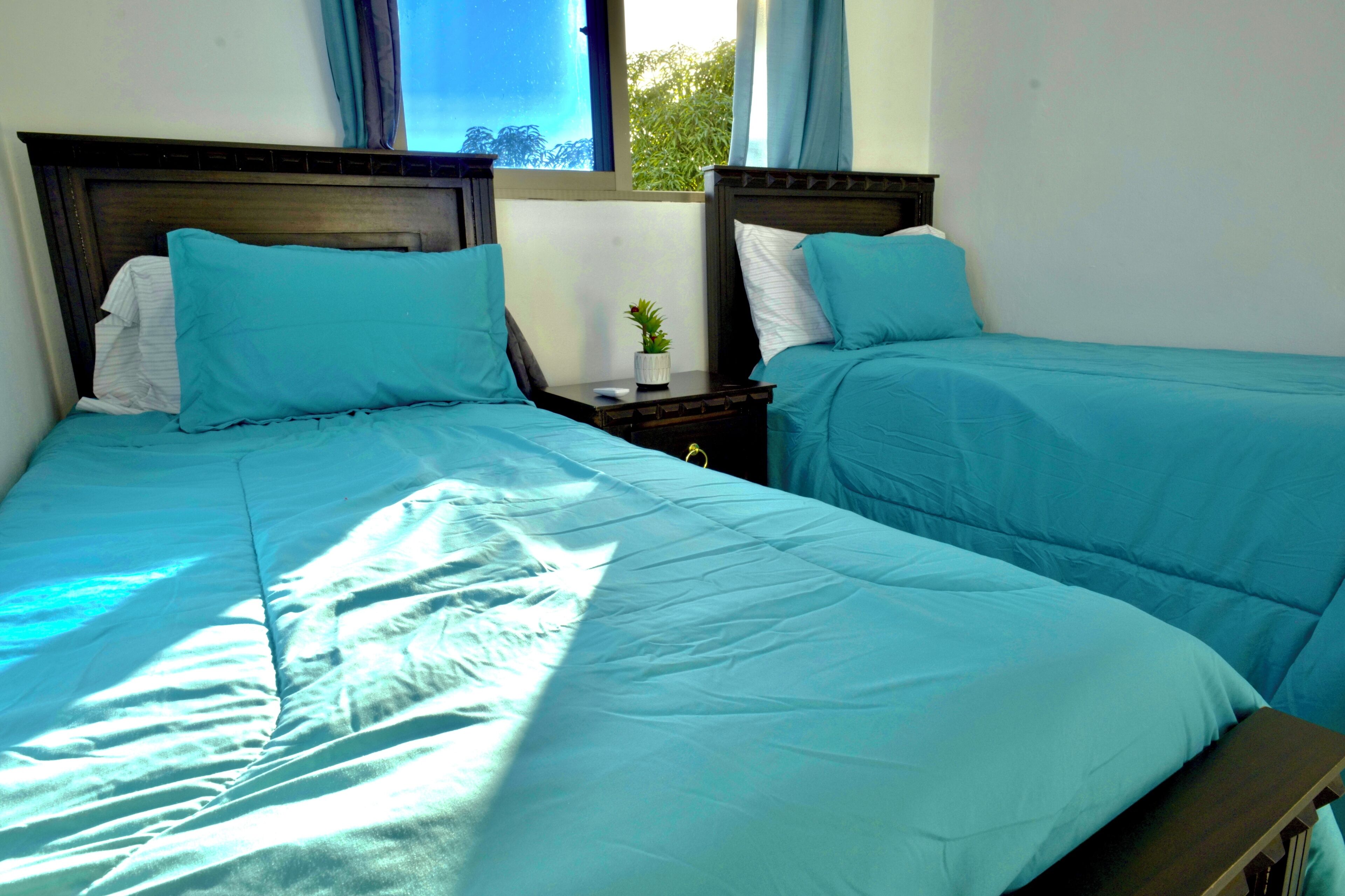A room with two beds, each with a wooden headboard and teal bedding. There is a small table with a plant between the beds.