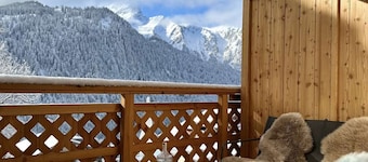 Cozy T2 and mountain area, a stone's throw from the slopes!