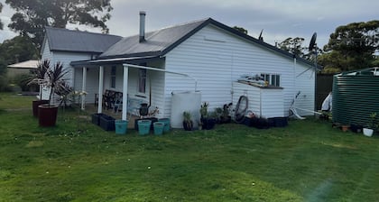 Quintessential Tassie Shack