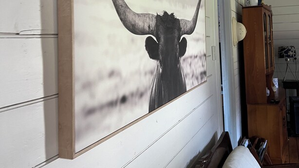 A room with a bed, a wooden headboard, a wall-mounted artwork of a bull's head, and a wooden cabinet. - Quintessential Tassie Shack (South Mount Cameron)