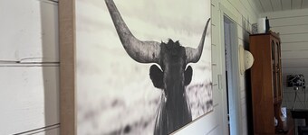 Quintessential Tassie Shack