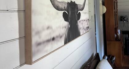 Quintessential Tassie Shack