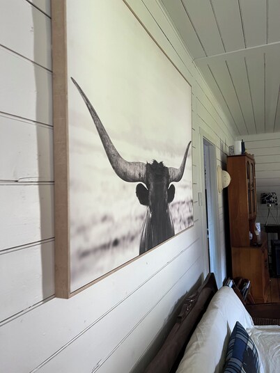 Quintessential Tassie Shack