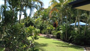 Un jardín bien cuidado con una variedad de plantas tropicales y un césped impecable.