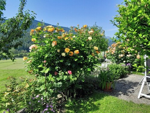 Ferienwohnung auf einem Bauernhof mit 2 Schlafzimmer und überdachten Balkon