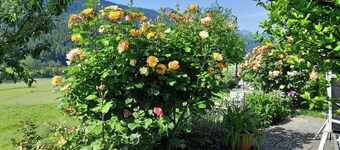 Vacation apartment on a farm with 2 bedrooms and covered balcony