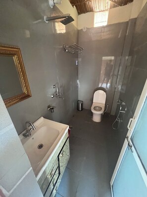 Shower, towels, soap, toilet paper