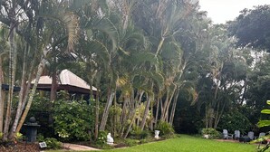 Zona verde bien cuidada con palmeras y un pabellón.