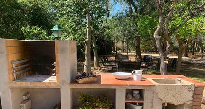 Manoir à Riudoms avec piscine privée