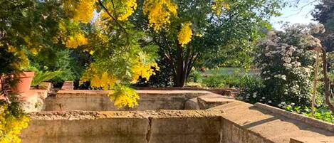 Overnatningsstedets område