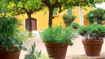 Terrein van de accommodatie