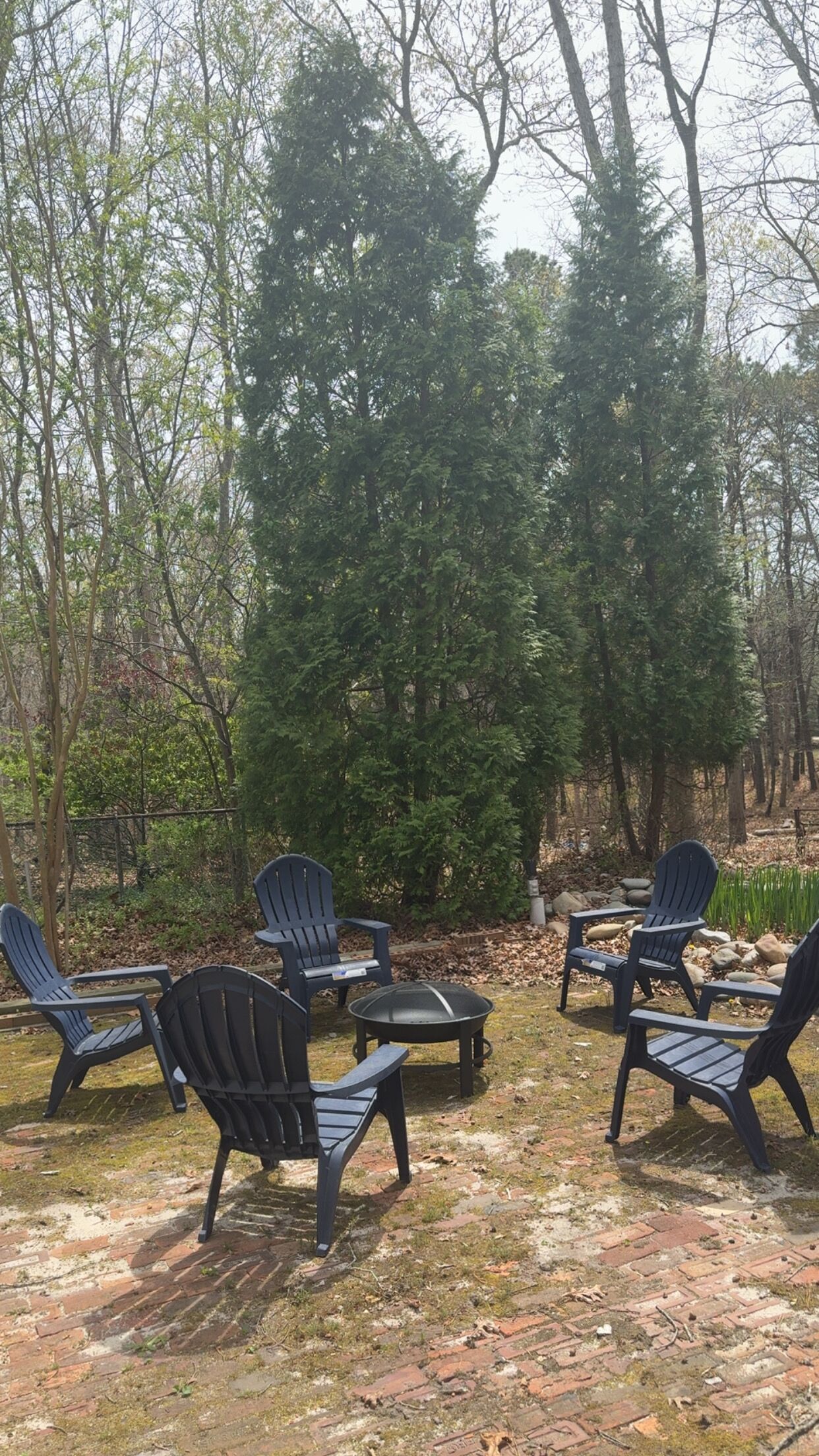 A group of Adirondack chairs arranged around a circular fire pit in a wooded area.