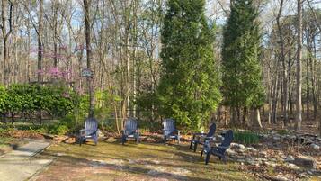 A forested area with a seating arrangement of five Adirondack chairs.