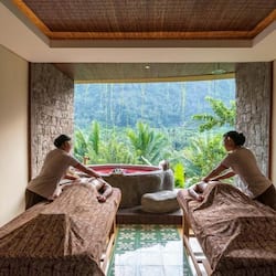 Sauna, bain à remous, soins corporels, soins d'aromathérapie
