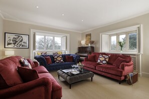 TV, fireplace, DVD player, books