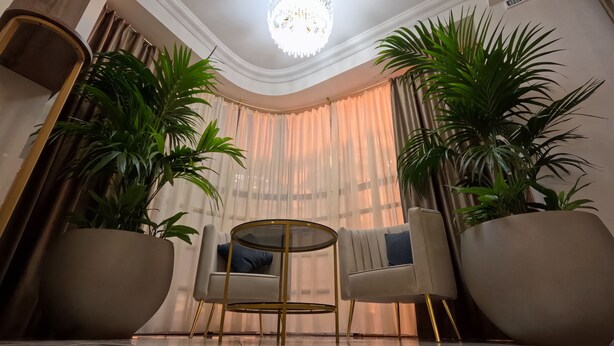 Un hall d’entrée moderne agrémenté d’un lustre, de deux grands pots de plantes, d’une table ronde avec des chaises et d’un sol à carreaux.