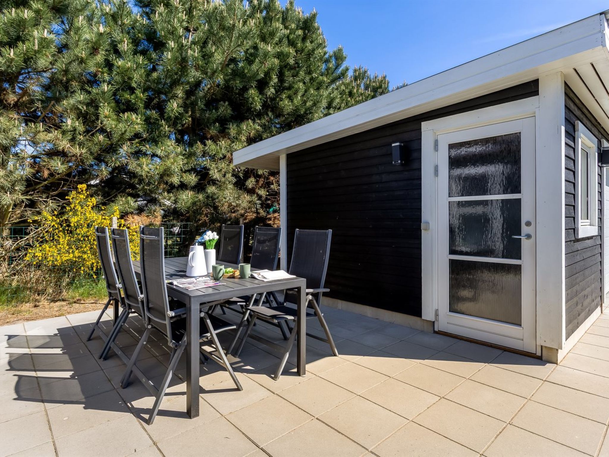 An outdoor patio with a table and chairs, a small shed, and a large tree in the background.