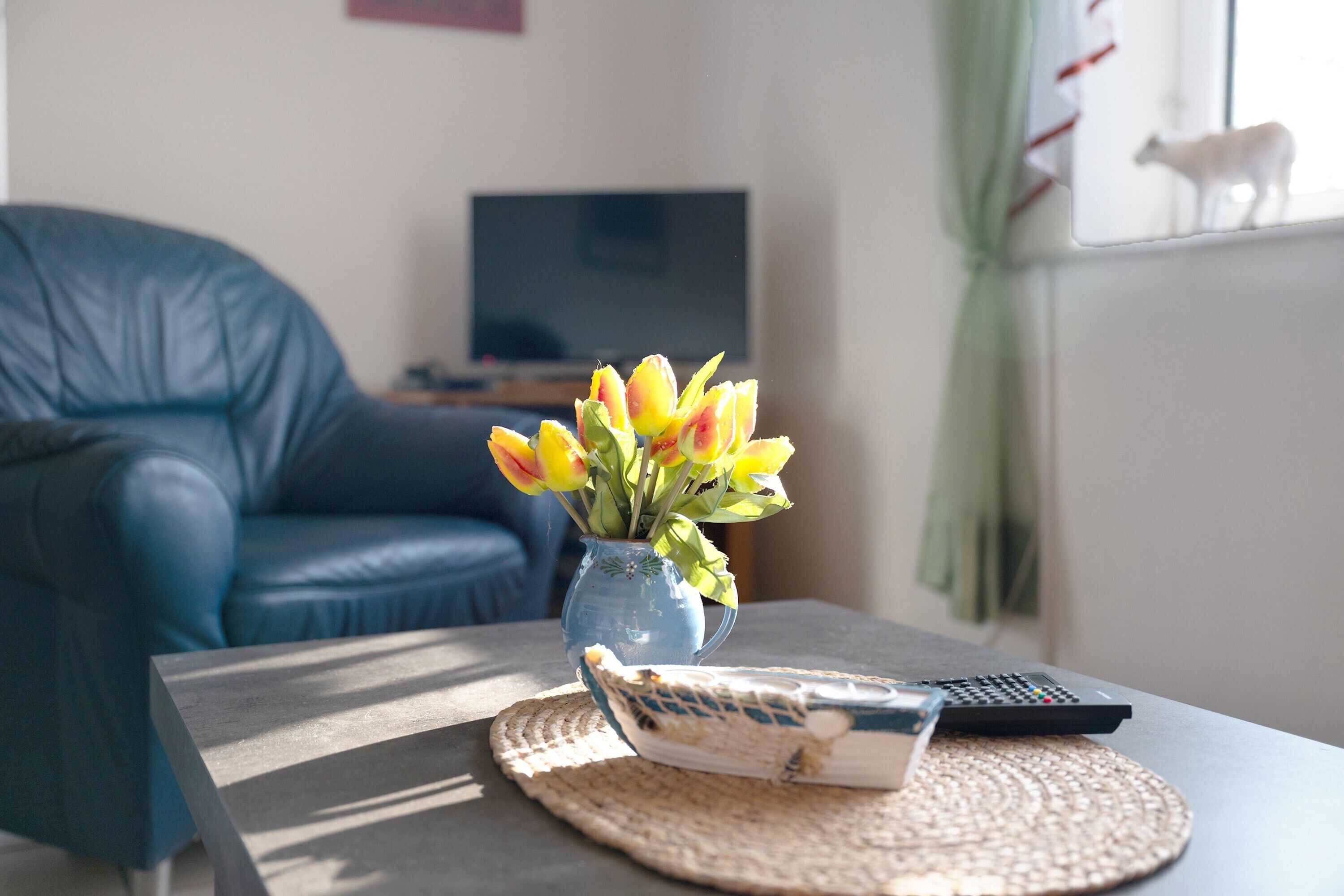 A living room with a blue sofa, a coffee table with a vase of flowers, a remote control, and a television in the background.