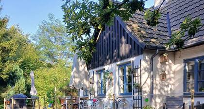 Lovely holiday home near Gudhjem
