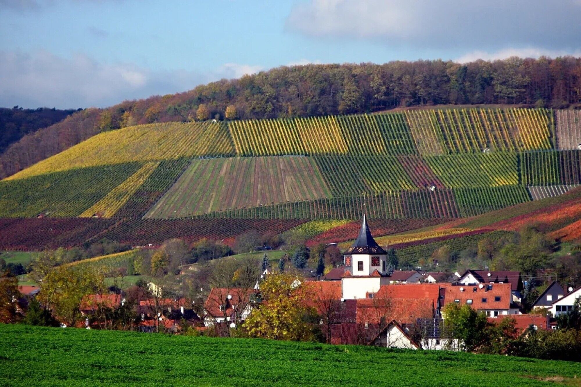 Paisaje rural con viñedos en terrazas, una iglesia y casas tradicionales.