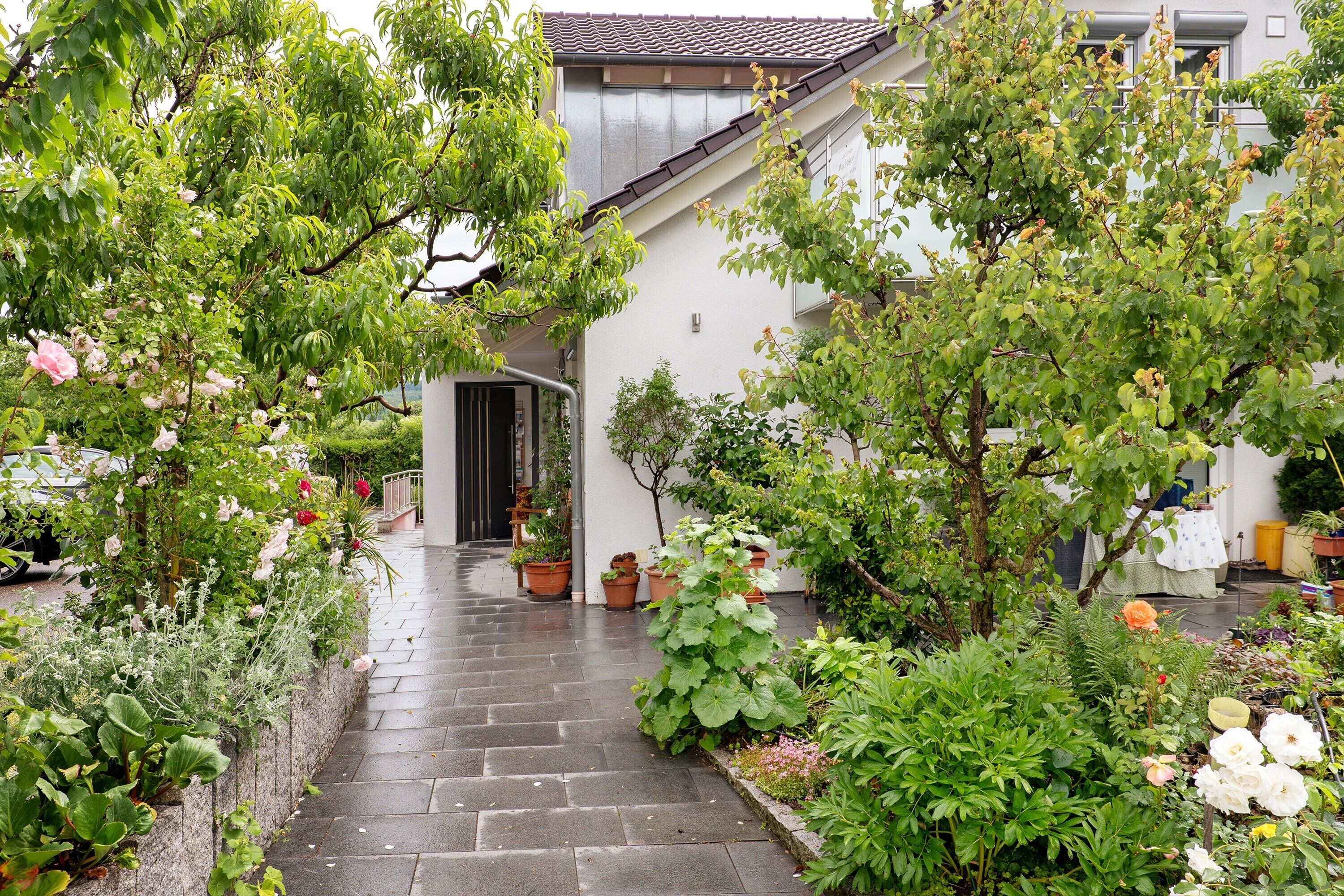 Parco della struttura