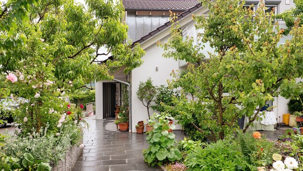 A garden pathway leading to a building with a tiled roof and a door. - Holiday Apartment 'Trollinger' with Kitchenette, Balcony, and Wi-Fi (Vaihingen an der Enz)