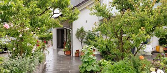 Holiday Apartment 'Trollinger' with Kitchenette, Balcony and Wi-Fi