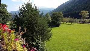 A grassy field with trees and mountains in the background. - Chalet in Einach near Ski Slopes (Stadl an der Mur)