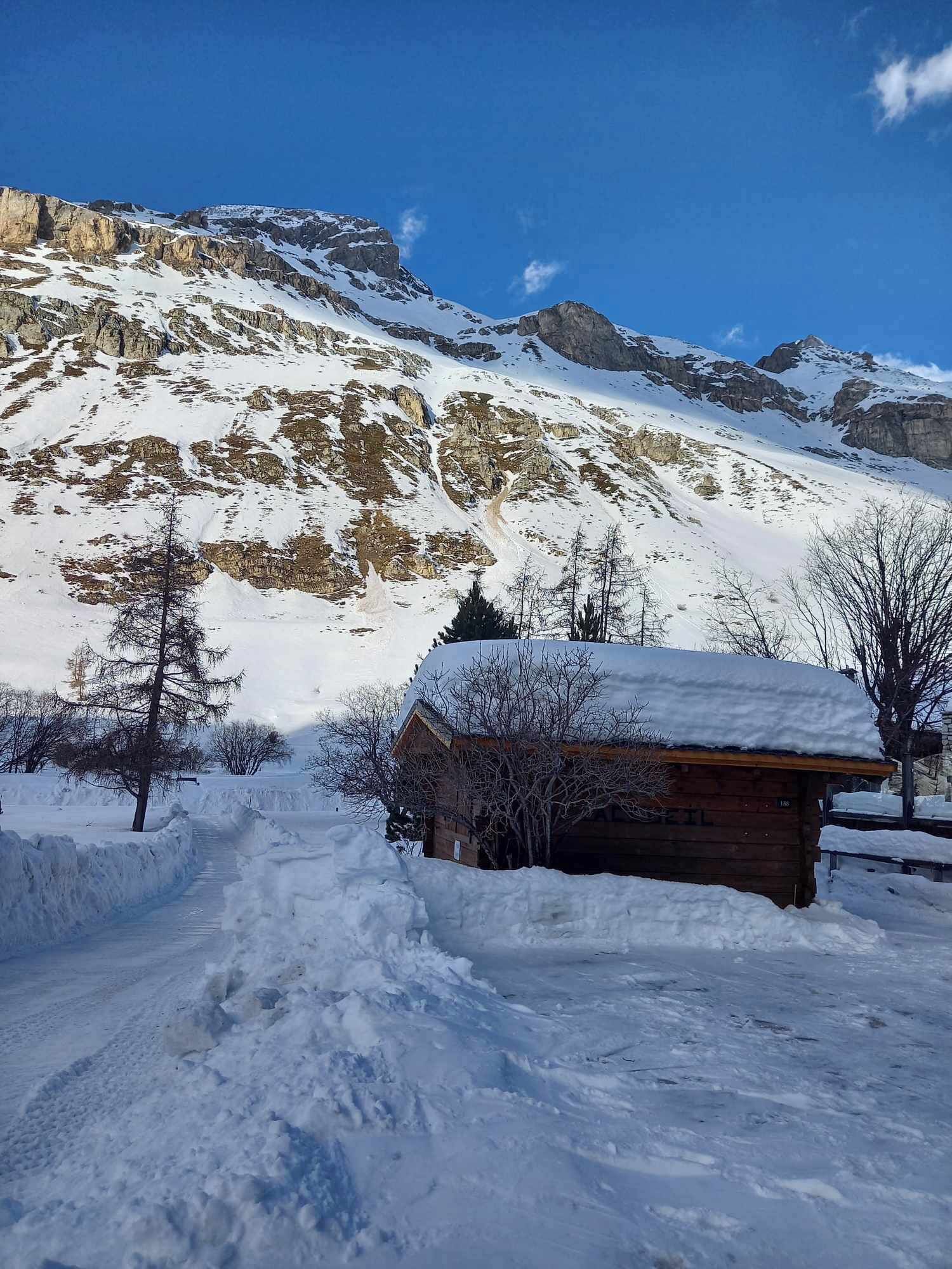 Una cabaña de madera con techo cubierto de nieve, rodeada de terreno y árboles nevados, con una montaña al fondo.