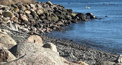Tasteful 1870s house in the old part of the fishing village Skillinge