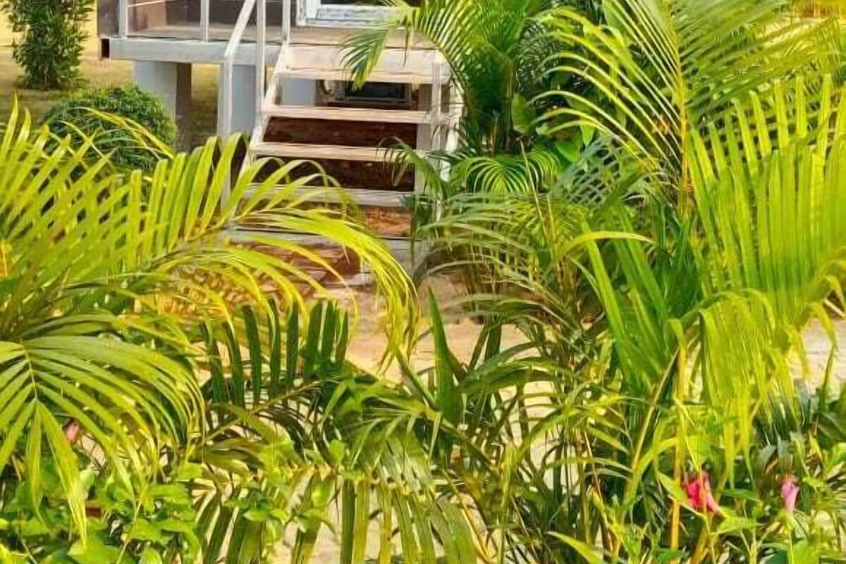 A modern, dark wooden cabin with a large glass door and white-framed windows, surrounded by lush tropical plants and a small staircase leading to the entrance.