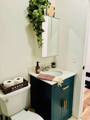 Shower, eco-friendly toiletries, hair dryer, towels