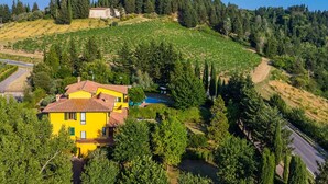 Uma vila amarela com piscina, rodeada por vegetação exuberante e vinhedos.