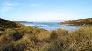 Un paysage côtier avec des dunes herbeuses et une vue sur la mer.