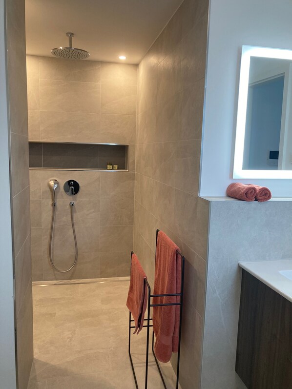 Regadera, secadora de cabello, bidet, toallas
