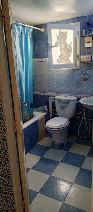 Hair dryer, towels, soap, toilet paper - Pretty furnished studio with terrace (Tunis)