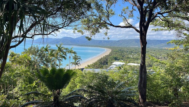 A coastal landscape with a beach, palm trees, and a mountainous backdrop.