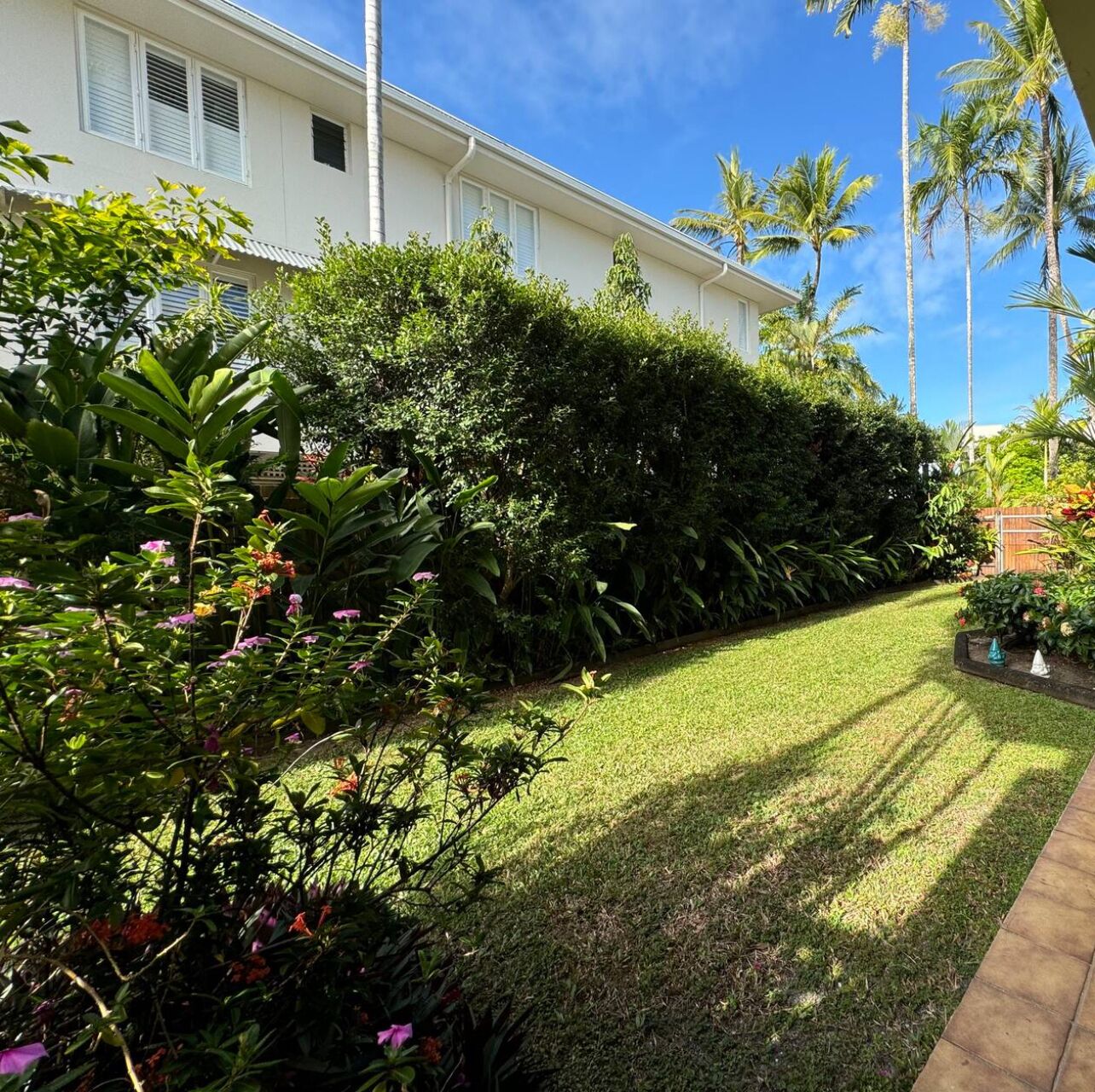 A well-maintained garden with a variety of plants and flowers, a neatly trimmed hedge, and a clear pathway leading to a building with white walls and shutters.