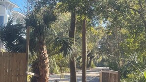 Un camino pavimentado bordeado por árboles y una valla de madera, que conduce a una zona vallada.