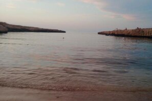 Altres