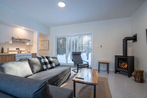 Una televisión, una chimenea