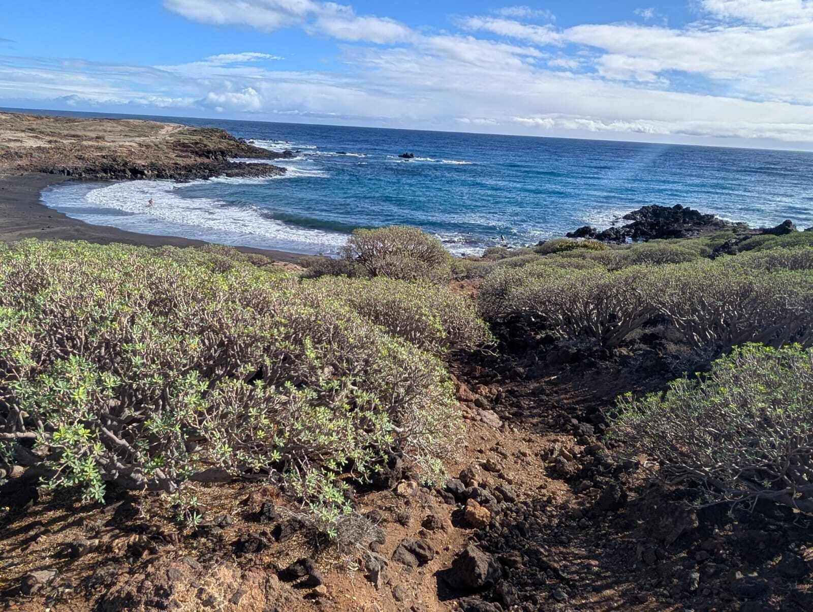 En la playa y camastros 