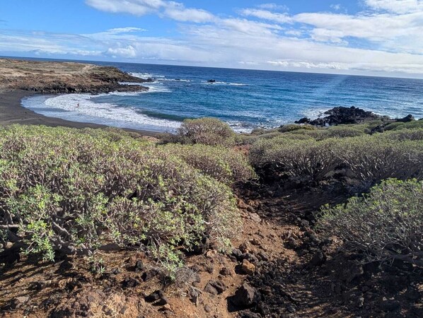 On the beach, sun-loungers