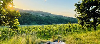 Cascina Piandamiane|Suite Elvira, charm and relaxation among the hazel groves of the Langhe