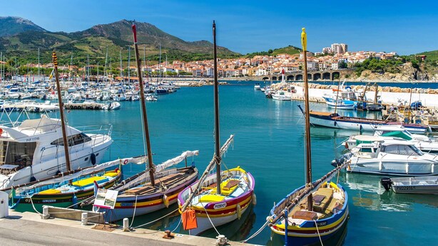 Un port de plaisance où sont amarrés différents types de bateaux, une ville en arrière-plan et un ciel bleu dégagé.