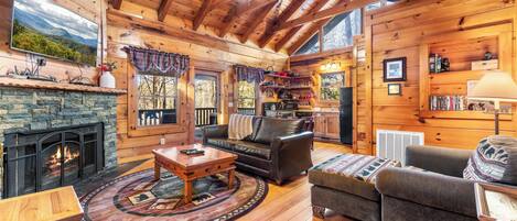 Télévision, cheminée, lecteur de DVD, espaces bureaux