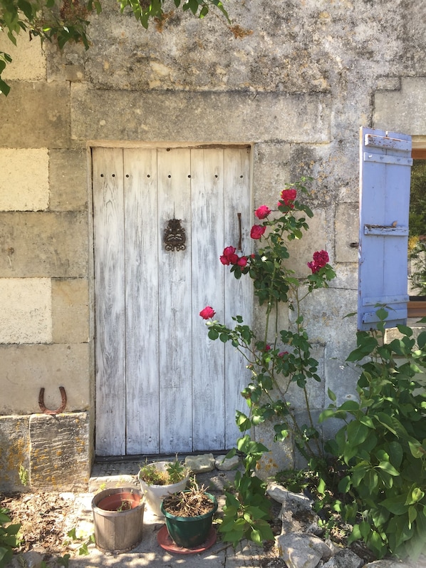 Detalle exterior