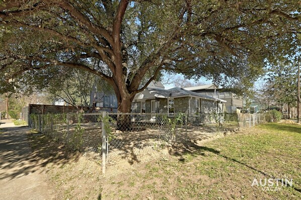 Un árbol grande frente a una casa con patio cercado.