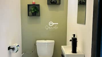 Chuveiro, secador de cabelo, toalhas de banho, papel higiênico